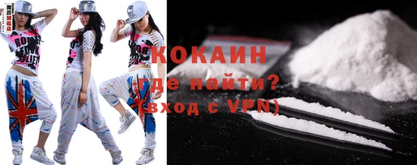 индика Армянск