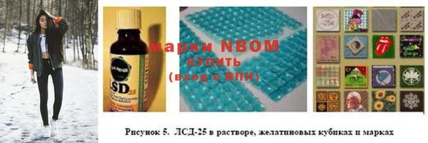 индика Армянск