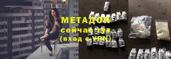 стаф Аркадак