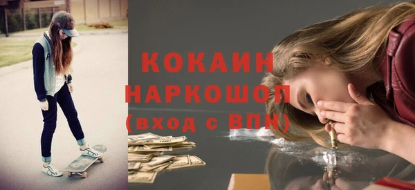индика Армянск
