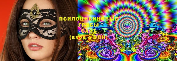 стаф Аркадак