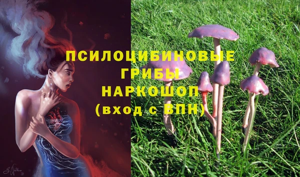 индика Армянск
