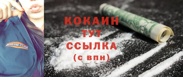 индика Армянск