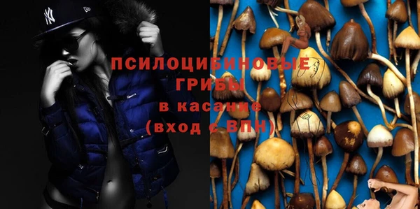 каннабис Арсеньев