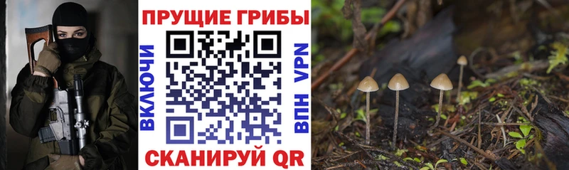 Галлюциногенные грибы Magic Shrooms  площадка клад  Городище  где купить наркотик 