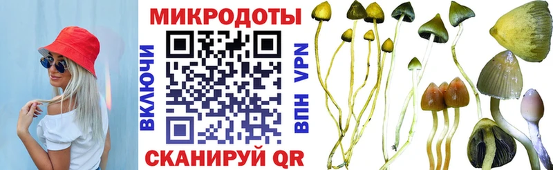 Псилоцибиновые грибы прущие грибы Городище